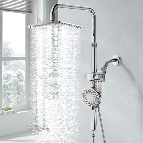 Filtered Rain Shower Head with Handheld Spray Combo