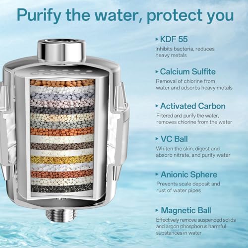10'' Dual 20 Stage Filtered Shower Head with Handheld