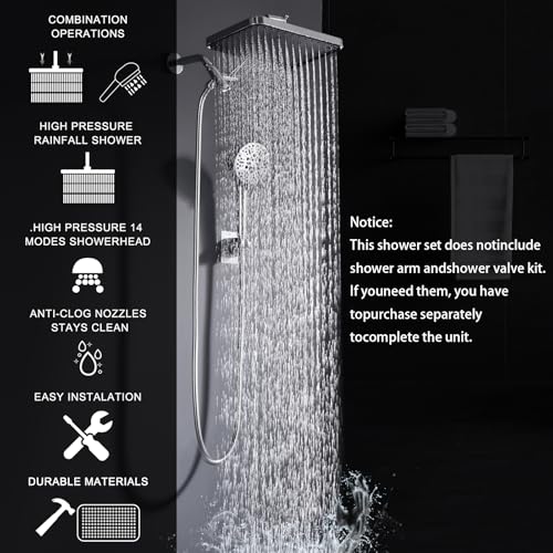 Tandem Shower Head with Filters
