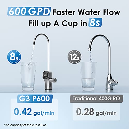G3P600 Reverse Osmosis System