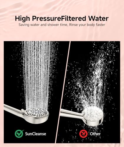 Filtered Shower Head with Handheld (4 Count)