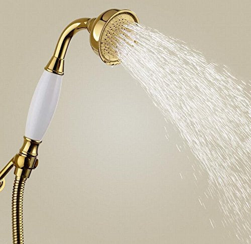 Vintage Handheld Shower Head with 59" Flexible Hose