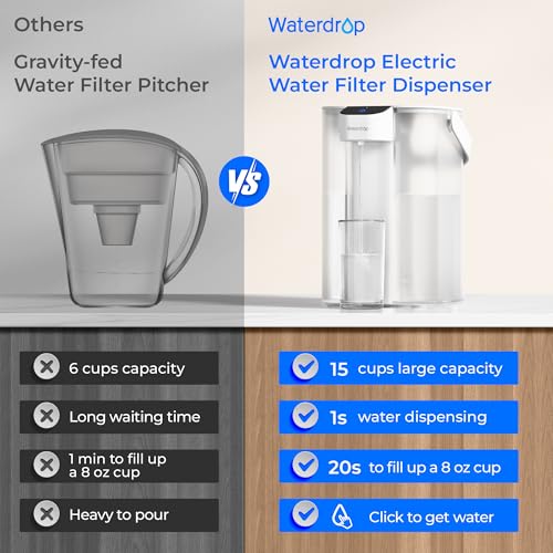 ED01W Electric Water Filter Pitcher with 2 Filters