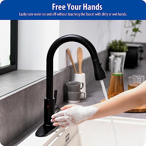 Touchless Kitchen Faucet