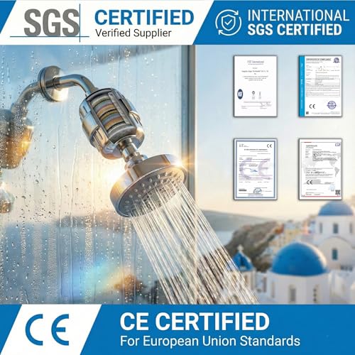Filtered Shower Head with 2 Filter Cartridges