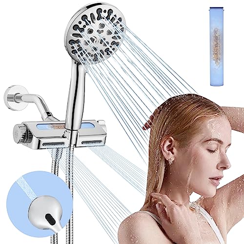 Filtered Shower Head with Handheld Combo