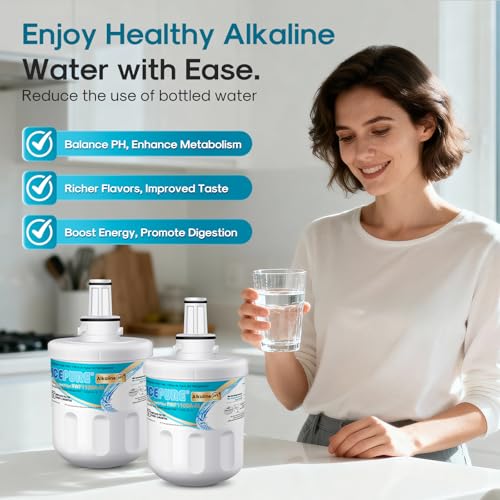 Alkaline DA29 (2 Count)