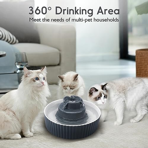 Ceramic Cat Water Fountain