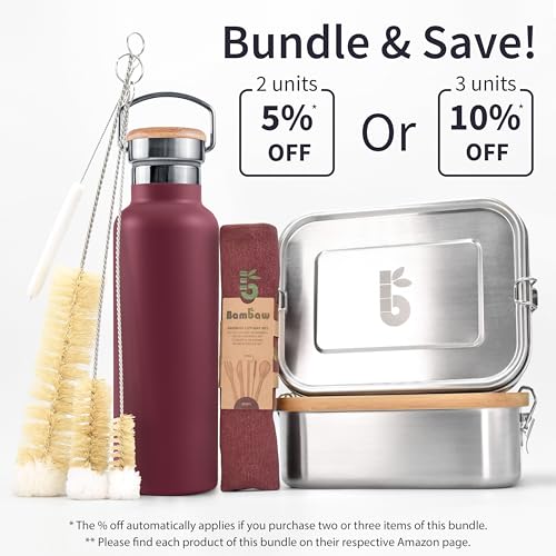 Small Stainless Steel Water Bottle 12 oz with Handle