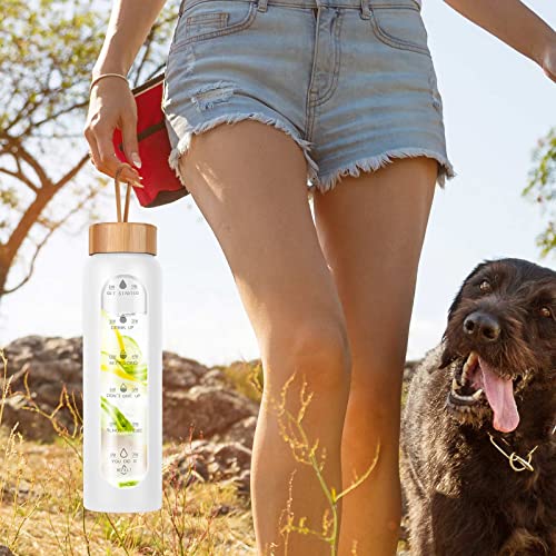 Glass Water Bottles 25 Oz with Silicone Sleeve