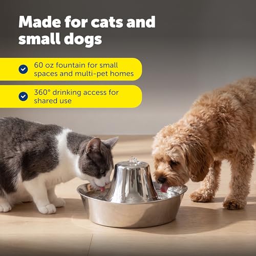 Seaside Stainless Pet Fountain