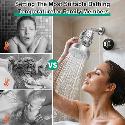 Tem8 Luxury Filtered Shower Head with Temperature Display