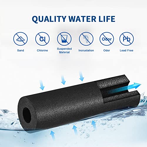 WF2CB Filter Replacement (2 Count)