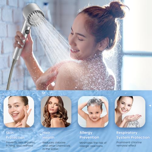 Filtered Shower Head with Handheld