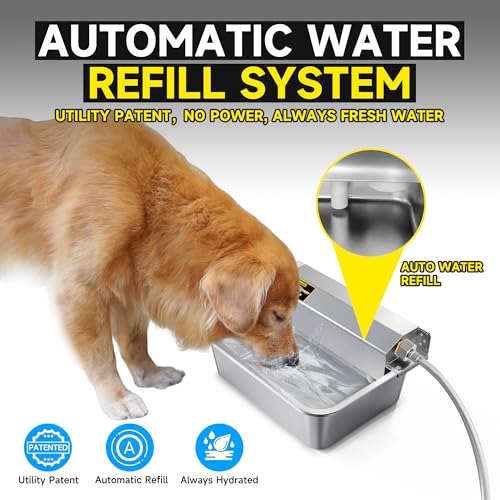 Automatic Dog Water Dispenser