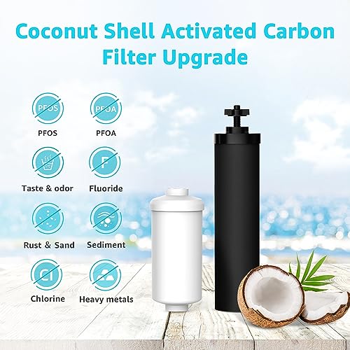 Black and Fluoride Water Filter (4 Count)