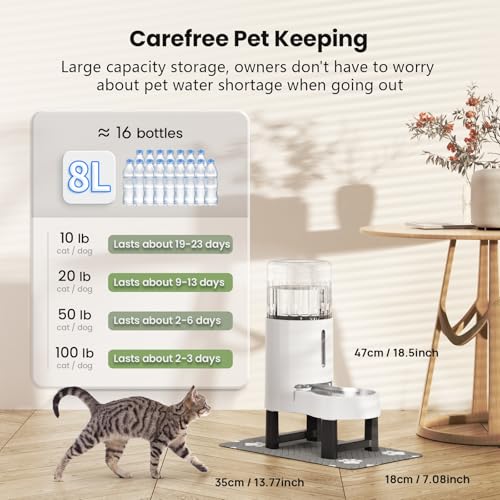 Elevated Dog Water Bowl Dispenser