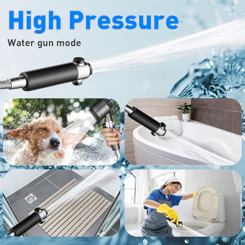 Filtered Shower Head with Handheld (4 Count)