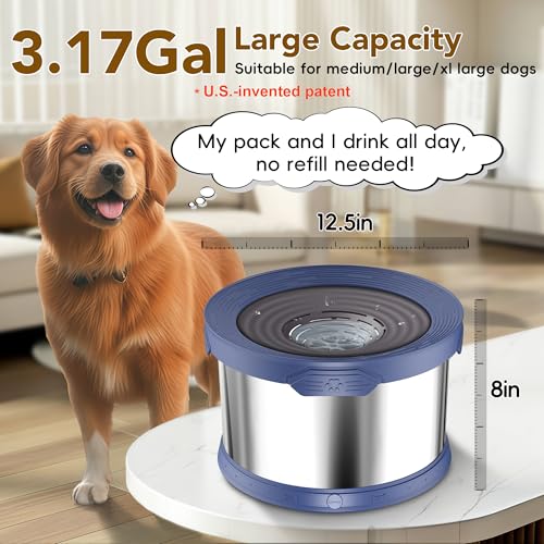 12L Dog Water Bowl No Spill Stainless Steel for Slow Drinking Blue