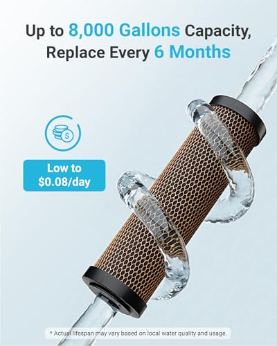 Heavy Metal Reduction Carbon Filter for DuPont WFPFC8002 (2 Count)