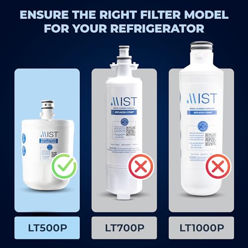 5231JA2002A Refrigerator Water Filter Replacement for LG LT500P (2 Count)