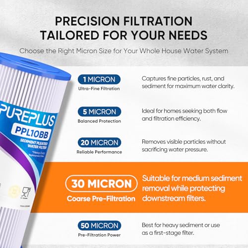 30 Micron 10" x 4.5" Whole House Pleated Sediment Filter for Well Water (2 Count)