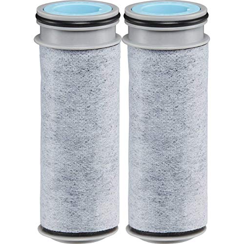 Stream Water Filter (2 Count)