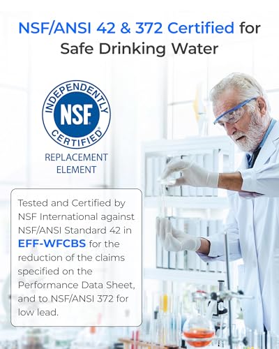 WF1CB Water Filter Replacement for Frigidaire® WFCB® (2 Count)