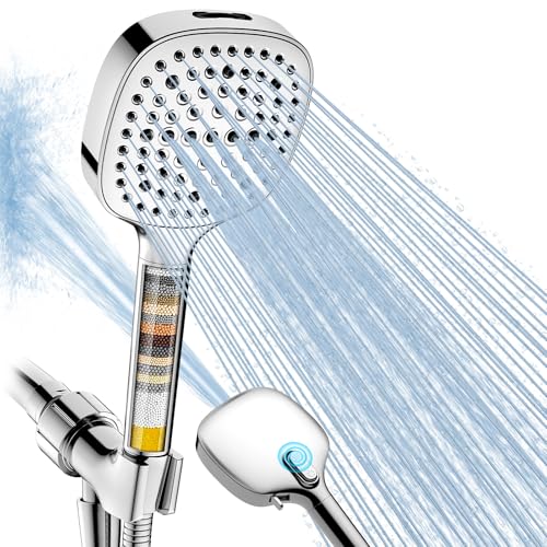 Filtered Shower Head with Handheld