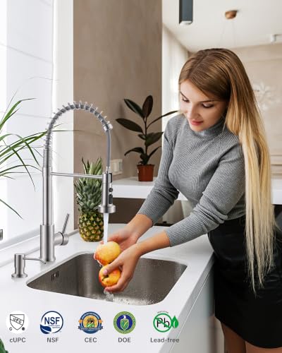 Brushed Nickel Kitchen Sink Faucet
