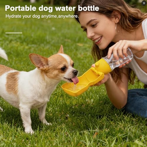 Dog Water Bottle