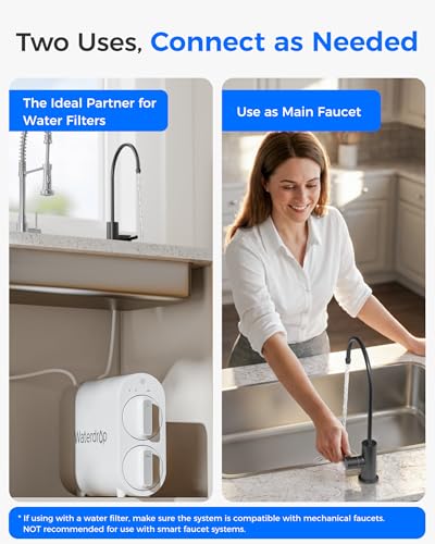 G2FCT BLK Drinking Water Faucet