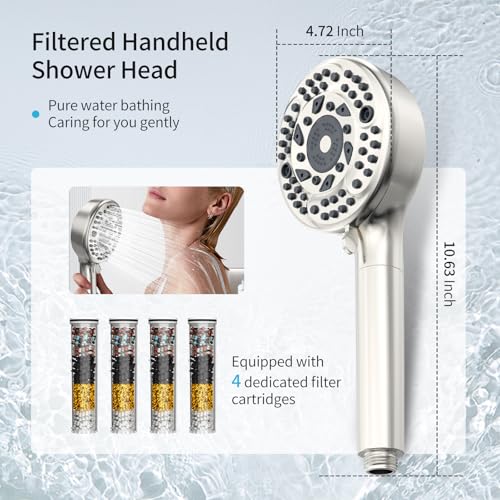 Filtered Shower Head with Handheld