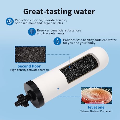 2 PCS 7 inch ceramic water filter Candle with Activated Carbon (2 Count)