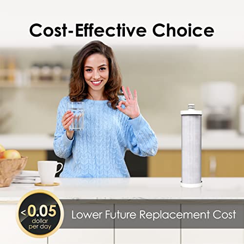 WF08 Water Filter Replacement for Waterdrop AS08