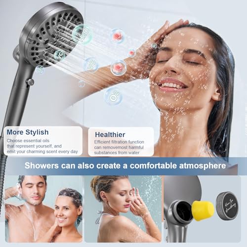 Filtered Shower Head with Handheld