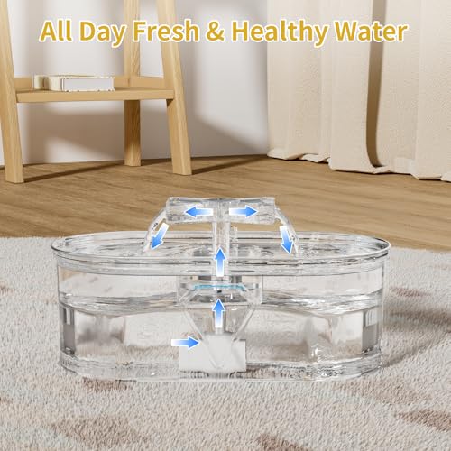 Cat Water Fountain