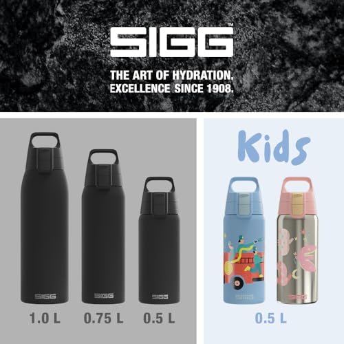 Insulated Water Bottle
