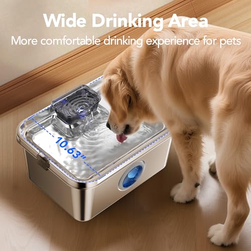 Dog Water Fountain
