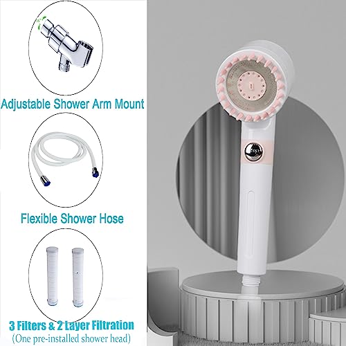 Shower Head with Handheld