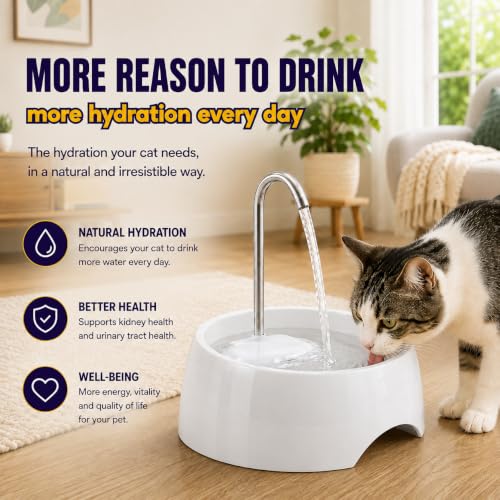 Aqua MINI Portable Pet Water Fountain