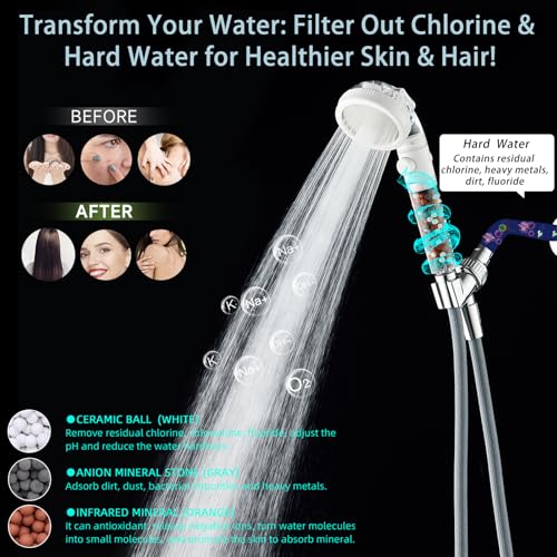 Filtered Shower Head with Handheld