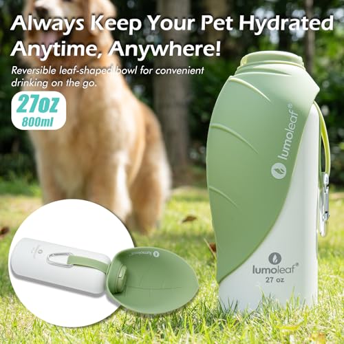 Insulated Dog Water Bottle 27 oz Stainless Steel