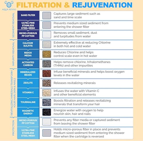 High Output Revitalizing Shower Filter