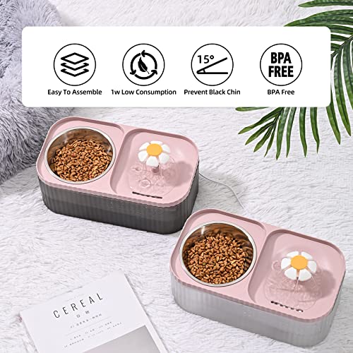 Cat Water Fountain and Food Bowl