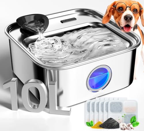 10L 2.6Gal Dog Water Fountain for Large Dogs