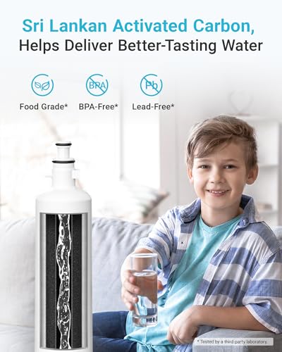 AQF FF19C Water Filter Replacement for GE® RPWFE® (2 Count)