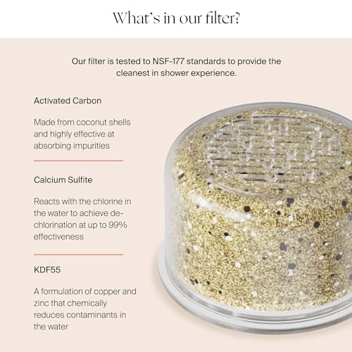 Filtered Shower Head