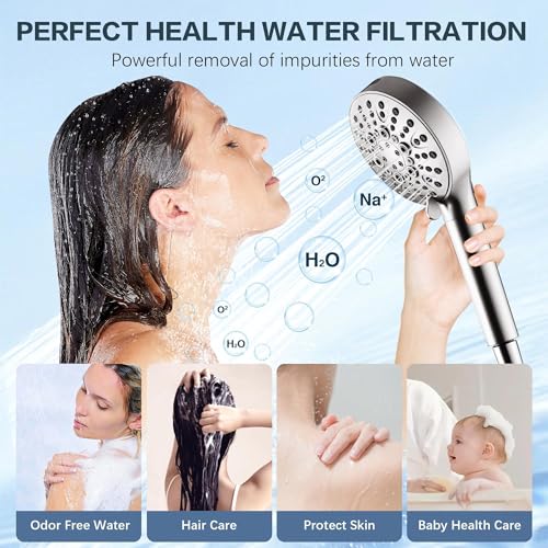 Filtered Shower Head with Handheld