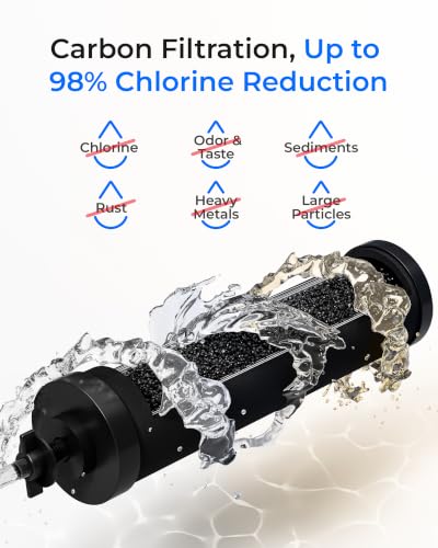 Silver Ions Black Water Filter (2 Count)